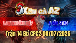 Trận 14 CPC2 8/7/2026: Úa Cọp Bảo Sting Đá Mấy Chân Điều Chạy Giữ Mạng