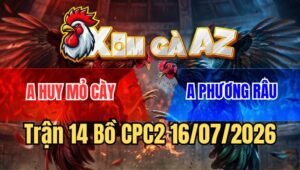 Trận 14 CPC2 16/7/2026: Cú Đâm Cựa Như Phát Xít Que Đập Cánh Giãy Chết