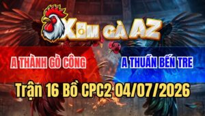 Trận 16 CPC2 4/7/2026: Điều Cọp Anh Thành Đá Chân Nào Cũng Có Cựa