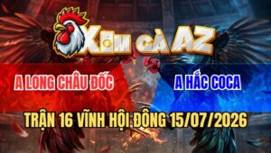 Trận 16 Vĩnh Hội Đông 15/7/2026: Điều Đâm Bể Mu Lưng Que Cọp Hắc Coca