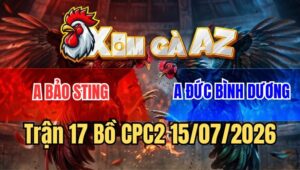 Trận 17 CPC2 15/7/2026: Bảo Sting Gãy Cánh Liên Tiếp Dưới Tay Anh Đức