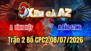 Trận 2 CPC2 8/7/2026: Camelo Bảo Sting Đá Chuối Té Xong Bị Phản Mất Ăn