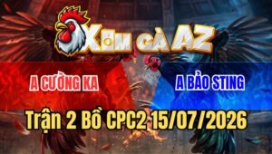 Trận 2 CPC2 15/7/2026: Bướm Bảo Sting Ra Quân Gặp Cọp, Bị Đá Ói Chạy