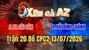 Trận 20 CPC2 13/7/2026: Bướm Anh Hải Lùa Đá 1 Tăng Bẻ Giò Gà Điều