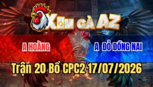 Trận 20 CPC2 17/7/2026: Gà Điều Anh Đỏ Đá Dở Nhưng Được Cái Mạng Lớn