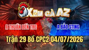 Trận 29 CPC2 4/7/2026: Bướm Hiệu Bảo Sting Chết Tới Phản 5 Lai Quá Hay
