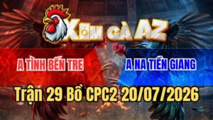 Trận 29 CPC2 20/7/2026: Xám Đè Bạc Buông Ra Bướm Đá Cho Hết Thấy Đường