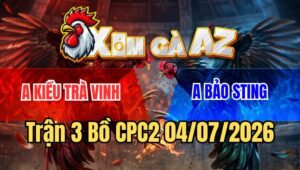 Trận 3 CPC2 4/7/2026: Úa Hiệu Bảo Sting Gãy Cánh Phản Ăn 1 Đẳng Cấp