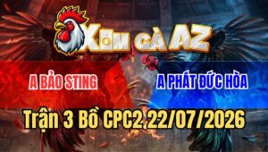 Trận 3 CPC2 22/7/2026: Cú Bảo Sting Đâm Điều Đức Hòa Không Kịp Dỡ Giò