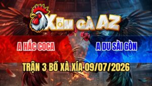 Trận 3 Xà Xía 9/7/2026: Điều Hắc Coca Đâm Úa Cọp Anh Kiểm Quên Lối Về