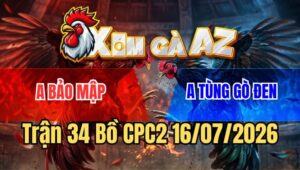 Trận 34 CPC2 16/7/2026: Gà Bướm Bảo Mập Chưa Kịp Nhấc Chân Đã Bưng Ra