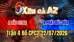 Trận 4 CPC2 22/7/2026: Xanh Kém 2 Chấm Đâm Gà Bảo Sting Không Kịp Thở