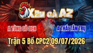 Trận 5 CPC2 9/7/2026: Điều Dâu Đá Như Búa Bổ, 1 Tay Nước Hạ Điều Cắt