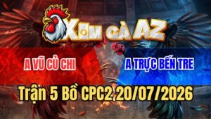 Trận 5 CPC2 20/7/2026: Bướm Dí Ăn 5 Buông Ra Đá Xám Như Con Không Đẻ