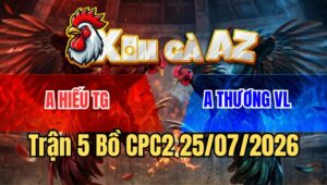 Trận 5 Bồ CPC2 25/7/2026 - Gà Đỏ Xấu Mà Đá Cựa Chỉ Vài Chân Là Có Kết Quả