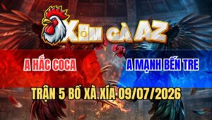Trận 5 Xà Xía 9/7/2026: Điều Cọp Anh Kiểm Đâm Úa Hắc Coca Đứng Hết Nổi