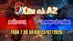 Trận 7 Xà Xía 23/7/2026: Úa Cọp Idol Đâm Là Dính Cựa Buông Ra Đỏ Té Xe