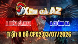 Trận 8 CPC2 3/7/2026: Điều Canh Chụp Đá Mấy Chân Hiểm Hạ Úa Nhanh Gọn