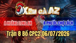 Trận 8 CPC2 6/7/2026: Cú Vàng Một Mắt Bỏ Mạng Dưới Chân Bướm Cọp