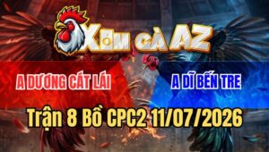 Trận 8 CPC2 11/7/2026: Que Cọp Đá Tăng 1, Cú Gãy Cổ Tử Trận Kinh Điển
