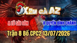 Trận 8 CPC2 13/7/2026: Bướm Cọp Đá Chân Nào Thấm Chân Đó Về Bờ Mau Lẹ