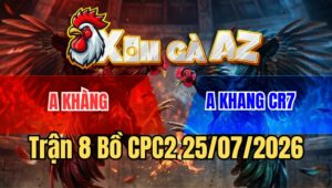 Trận 8 Bồ CPC2 25/7/2026 - Trận Gà Tre Đầu Tiên Hôm Nay Bên Bồ C2