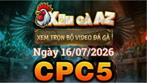 Xem Full Video Đá Gà CPC5 Ngày 16/07/2026 Tại Xóm Gà AZ