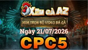 Xem Full Video Đá Gà CPC5 Ngày 21/07/2026 Tại Xóm Gà AZ