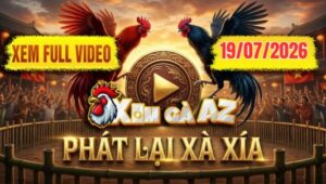Xem Full Video Đá Gà Xà Xía Ngày 19/07/2026 Tại Xóm Gà AZ