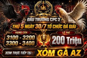 Thông Báo Giải Gà Tự Do Cuối Tháng Ngày 30/7/2026
